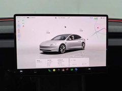 Tesla Model 3 2023 Rear-Wheel Drive - ფოტო 14