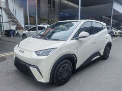 BYD Seagull 2025 305km Vitality Edition - ფოტო 1