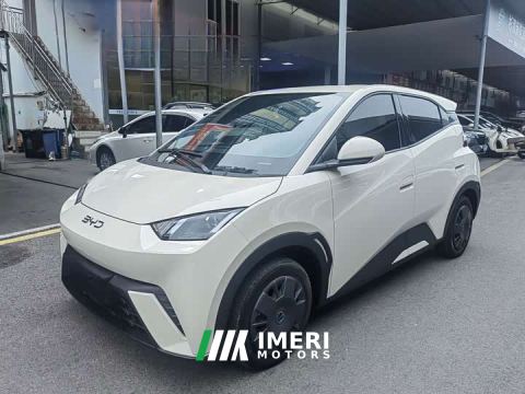 2024 BYD Seagull 305km Vitality Edition