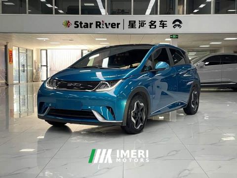 2023 BYD Dolphin 405km Fashion Edition