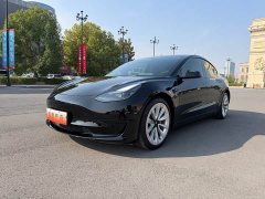 Tesla Model 3 2021 Standard Range RWD Upgrade 3D6 - ფოტო 1