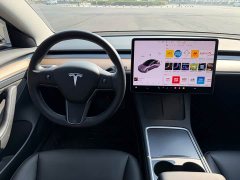 Tesla Model 3 2021 Standard Range RWD Upgrade 3D6 - ფოტო 10
