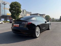 Tesla Model 3 2021 Standard Range RWD Upgrade 3D6 - ფოტო 19