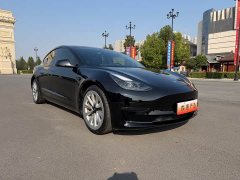 Tesla Model 3 2021 Standard Range RWD Upgrade 3D6 - ფოტო 3