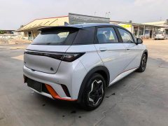 BYD Dolphin 405km Freedom Edition - ფოტო 4