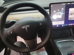 Tesla Model Y 2021 Standard Range RWD - ფოტო 12