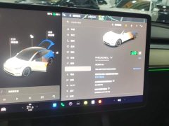 Tesla Model Y 2021 Standard Range RWD - ფოტო 13