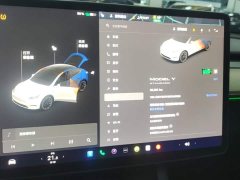 Tesla Model Y 2021 Standard Range RWD - ფოტო 14