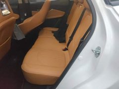 Dongfeng Fengxing Thunder 430 Elite - ფოტო 11