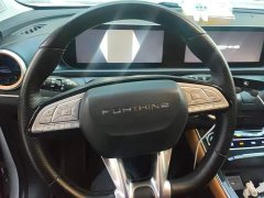 Dongfeng Fengxing Thunder 430 Elite - ფოტო 15