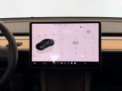 Tesla Model 3 2022 Rear-Wheel Drive - ფოტო 16