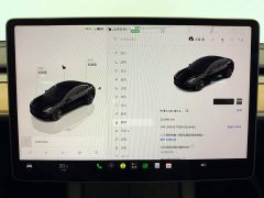 Tesla Model 3 2022 Rear-Wheel Drive - ფოტო 17