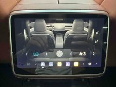 Nio Lerado L60 60kWh Rear-Wheel Drive - ფოტო 13