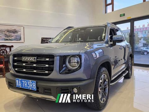 2022 Great Wall Dachshund 2.0T DCT Four-Wheel Drive Howling Celestial Dog Edition - ავტომობილი ჩინეთიდან