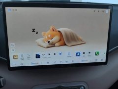 BYD Seagull Smart Driving Edition 305km Freedom Edition - ფოტო 13