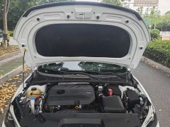 Geely Binrui 1.4T CVT F-Sport Edition - ფოტო 19