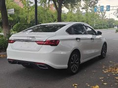 Geely Binrui 1.4T CVT F-Sport Edition - ფოტო 7
