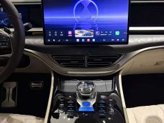 Denza BYD Denza D9 DM-i Smart Drive 1020 Four-Wheel Drive Premium - ფოტო 11