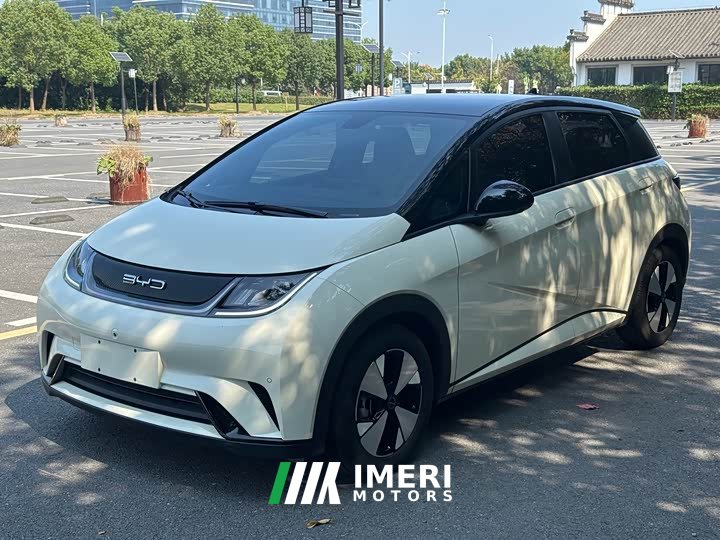 BYD Dolphin 420km Fashion Edition - ავტომობილი ჩინეთიდან