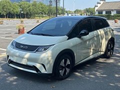 BYD Dolphin 420km Fashion Edition - ფოტო 1