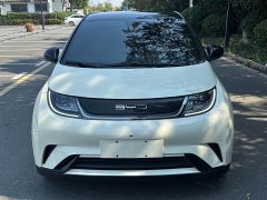 BYD Dolphin 420km Fashion Edition - ფოტო 2