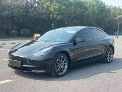 Tesla Model 3 Rear-Wheel Drive - ფოტო 1