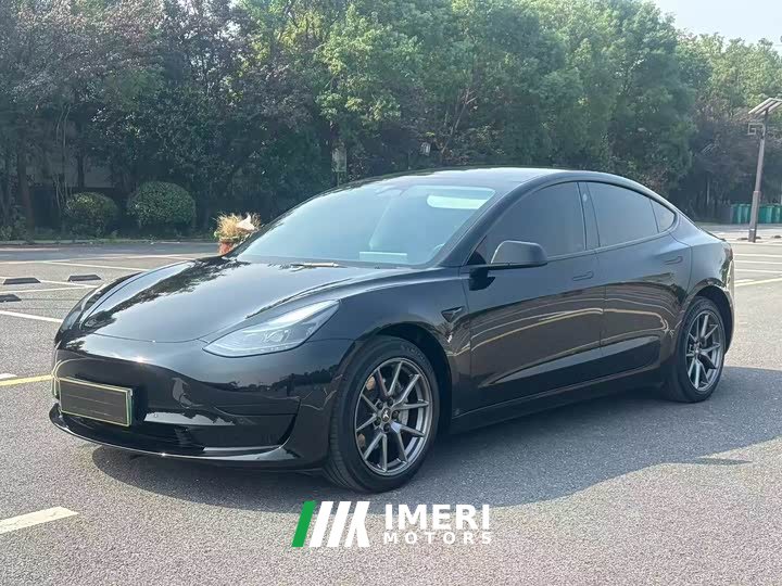 Tesla Model 3 Rear-Wheel Drive