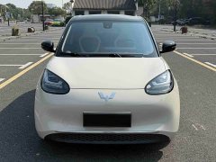 Wuling Binguo 333km Joy Edition - ფოტო 2