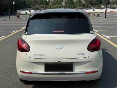Wuling Binguo 333km Joy Edition - ფოტო 8