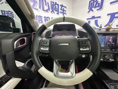 Great Wall Dachshund 1.5T DCT Two-Wheel Drive Border Collie-Wangcai Edition - ფოტო 9