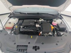 BYD Qin PLUS Glory Edition DM-i 55KM Leading - ფოტო 10