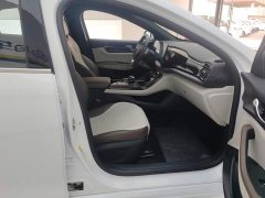 BYD Qin PLUS Glory Edition DM-i 55KM Leading - ფოტო 8