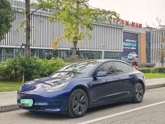 Tesla Model 3 Rear-Wheel Drive - ფოტო 1