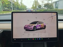 Tesla Model 3 Rear-Wheel Drive - ფოტო 6