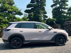 BYD Sealion 05 DM-i 220 Voyage Edition - ფოტო 7