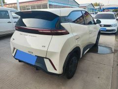 BYD Seagull Freedom Edition - ფოტო 2