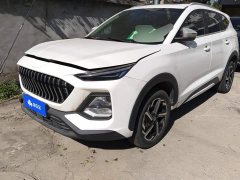 Sihao Sehol X8 300T Manual Luxury Smart Connectivity 5-Seater - ფოტო 1