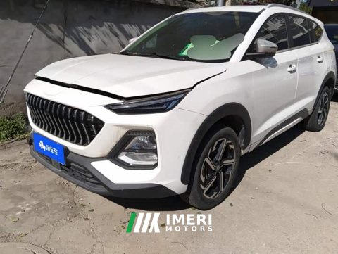 2021 Sihao Sehol X8 300T Manual Luxury Smart Connectivity 5-Seater - car from China