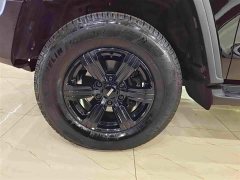 Tank 300 Off-Road Edition 2.0T Conqueror - ფოტო 10