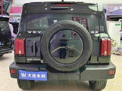 Tank 300 Off-Road Edition 2.0T Conqueror - ფოტო 13