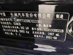 Tank 300 Off-Road Edition 2.0T Conqueror - ფოტო 16