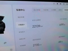 Li Auto L7 MAX - ფოტო 13