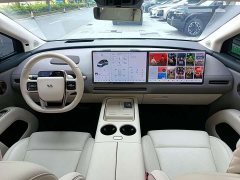 Li Auto i8 Standard Edition - ფოტო 9