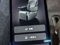 Voyah Lantu Dreamchaser 2025 PHEV AWD Luxury Kunpeng Edition - ფოტო 16