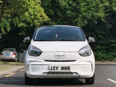 SAIC Corey Wei CLEVER 302km All-Purpose Edition - ფოტო 2