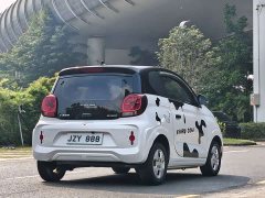 SAIC Corey Wei CLEVER 302km All-Purpose Edition - ფოტო 7