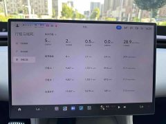 Xiaomi YU7 Four-Wheel Drive Pro - ფოტო 7
