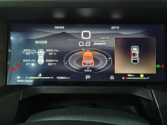Tank 300 2.0T Challenger - ფოტო 12