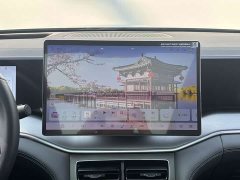 BYD Song L DM-i Smart Drive 160km Excellence - ფოტო 10