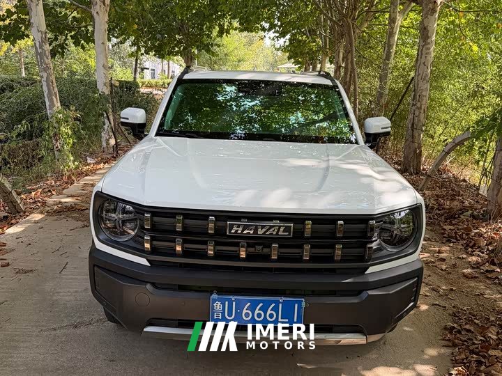Haval Cool Dog 1.5T DCT AWD Trendy Wilderness Edition - ავტომობილი ჩინეთიდან